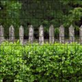 1039-col-001-holzzaun-und-buxus-_vorschau018fe_1280x1280