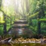 200x155_park-4174278_600x600