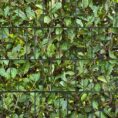 4260388390223_kirschlorbeer_bedruckter_zaun_sichtschutz_streifen018fe