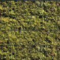 4260388390254_lebensbaum_gelb_bedruckter_zaun_sichtschutz_streifen018fe_600x600