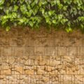 4260388390957_efeu_und_mauer_bedruckter_zaun_sichtschutz_streifen018fe_1280x1280