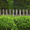 4260388390988_holzzaun_und_buxus_bedruckter_zaun_sichtschutz_streifen018fe_600x600