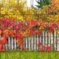 4260388391152_ruegen_bedruckter_zaun_sichtschutz_streifen018fe_600x600