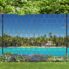 Palm Beach XXL 1_800x800