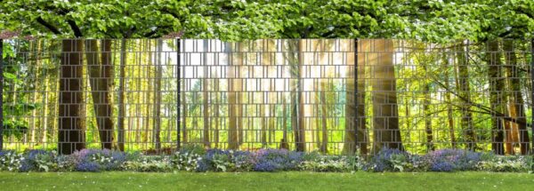 Wald XXL 1_800x800