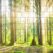 wald-panorama-xxl018fe_1280x1280
