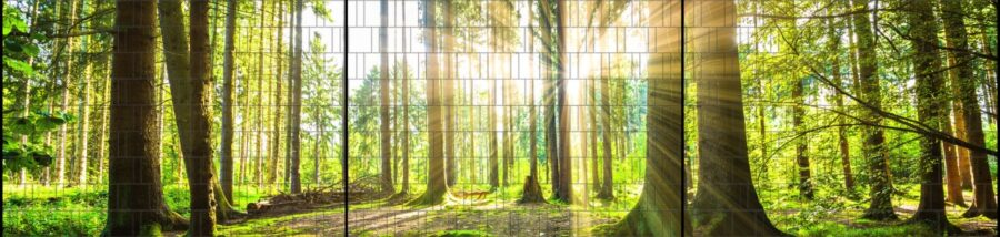 wald-panorama-xxl018fe_1280x1280