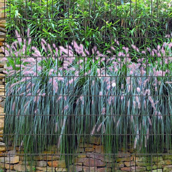 4260388390964_graswand_bedruckter_zaun_sichtschutz_streifen018fe_600x600.jpg 4260388390964_graswand_bedruckter_zaun_sichtschutz_streifen018fe_600x600.jpg