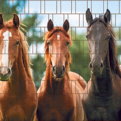 Pferde – Bedruckte Sichtschutzrolle für Doppelstabmattenzaun | 2,50 m × 1,80 m | UV-beständig, wetterfest & blickdicht | Hochwertige PES-Sichtschutzstreifen mit Pferdemotiv