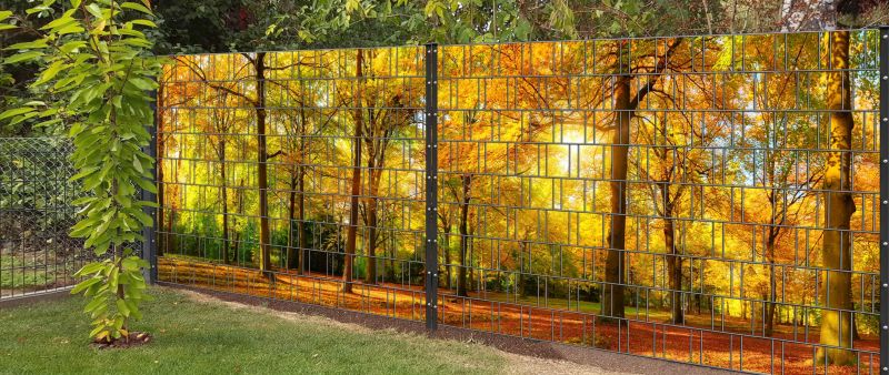 Herbst-XL_800x800.jpg Herbst-XL_800x800.jpg