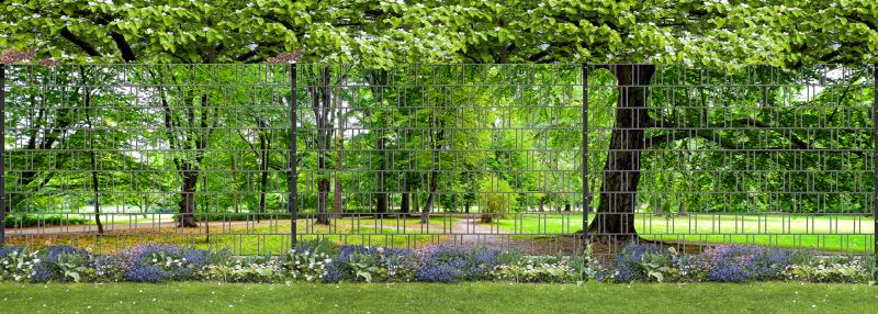 Park-XXL-1_800x800.jpg Park-XXL-1_800x800.jpg