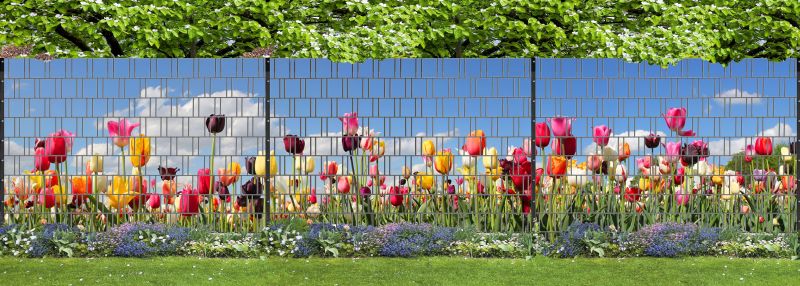 Tulpen-XXL-1_800x800.jpg Tulpen-XXL-1_800x800.jpg