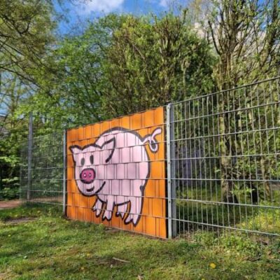 Schwein – bedruckte Zaunfolie für Zäune | 2,5 m × 1,8 m | blickdichter Sichtschutz für Doppelstabmattenzaun | wetterfest & UV-beständig